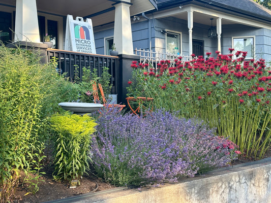 NE Portland MESO Offices' Backyard Habitat, Pollinator Garden