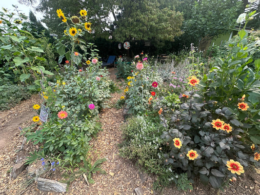 North Gresham Food Forest, Medicine Garden, & Cut Flower Garden