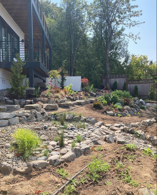 Native Garden, Japanese Style Garden in NW Portland