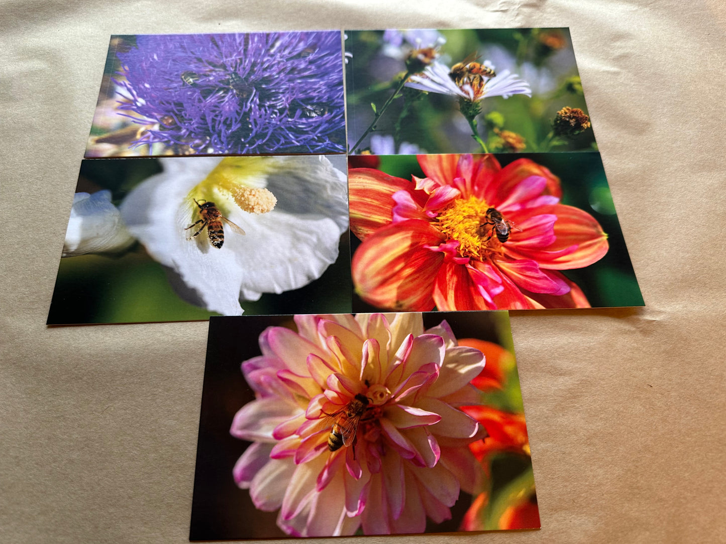 Honey Bee Postcards - 5 pack