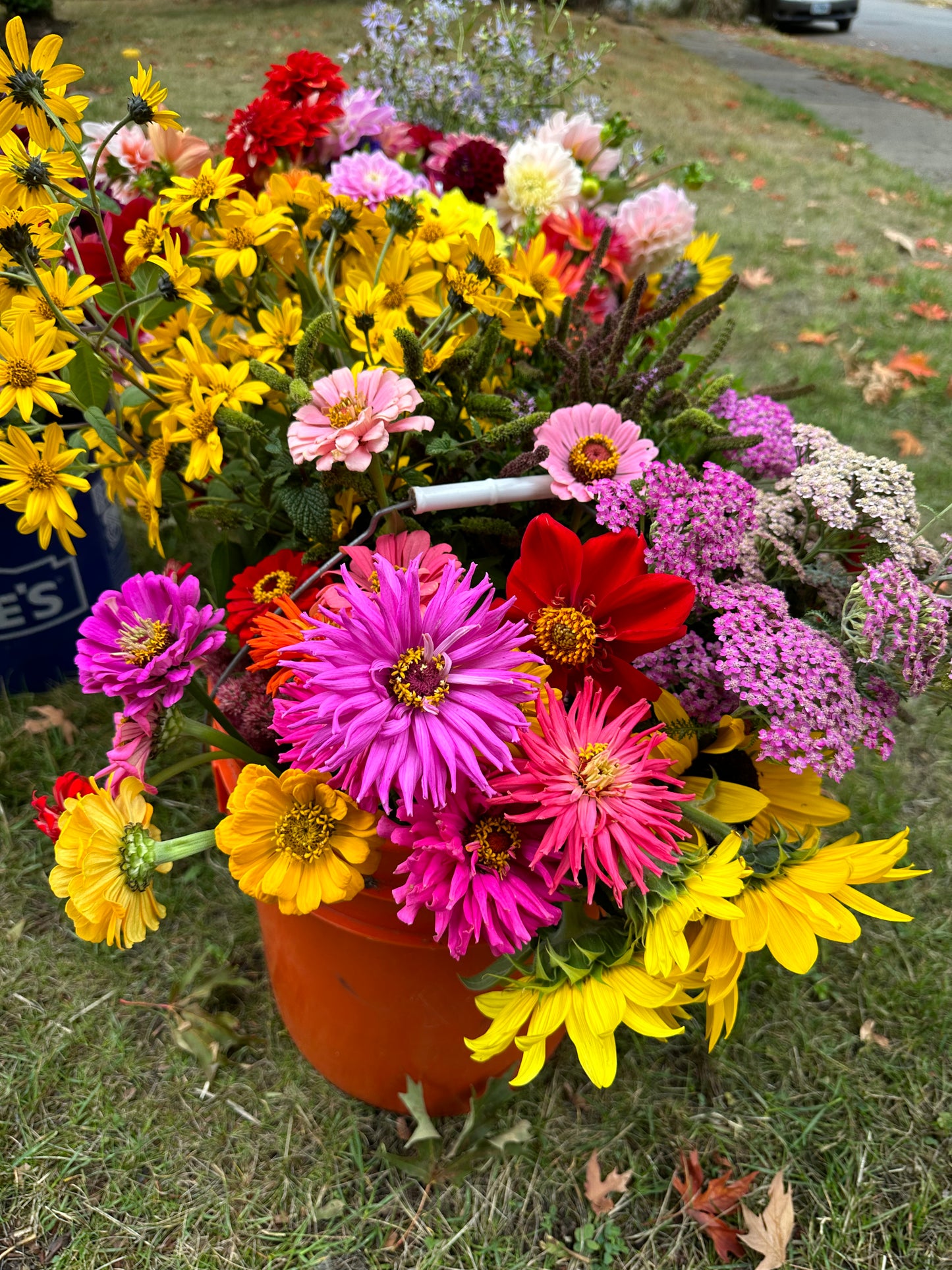 Flower Bouquet