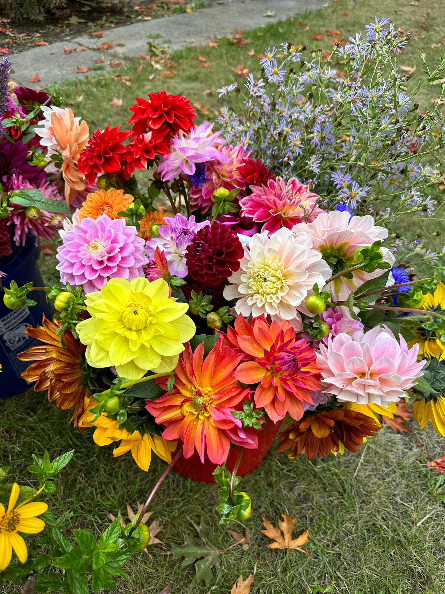 Flower Bouquet